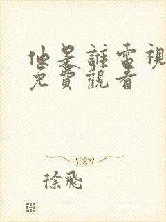 他是谁电视全集免费观看