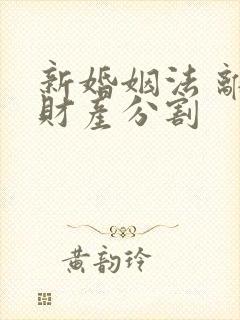 新婚姻法 离婚财产分割