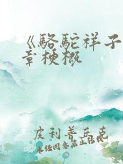 《骆驼祥子》各章梗概