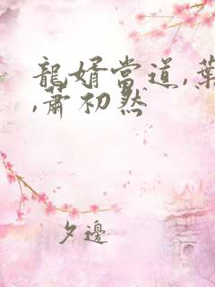 龙婿当道,叶辰,萧初然