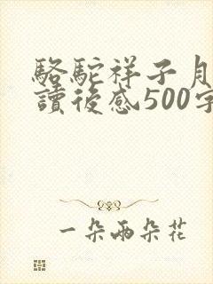 骆驼祥子月牙儿读后感500字