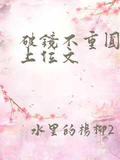 破镜不重圆男二上位文