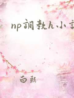 np调教h小说