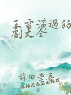 王雷演过的电视剧大全