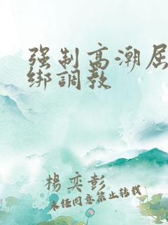 强制高潮屈辱捆绑调教