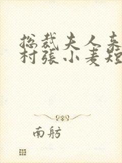 总裁夫人来自农村张小麦短剧免费观看