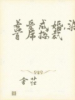 惹爱成婚,染指首席总裁