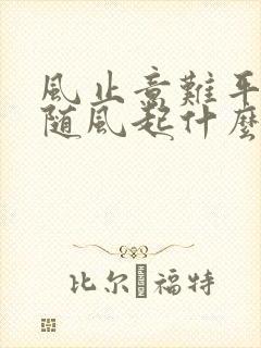 风止意难平爱意随风起什么意思