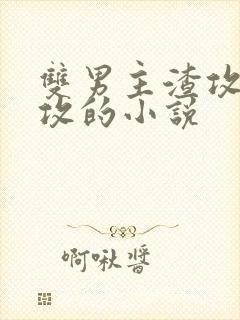 双男主渣攻被反攻的小说