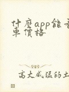 什么app能看车价格