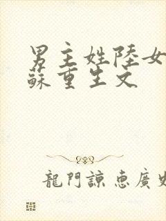 男主姓陆女主姓苏重生文