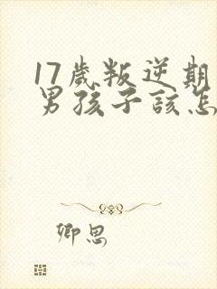 17岁叛逆期的男孩子该怎样去沟通教育