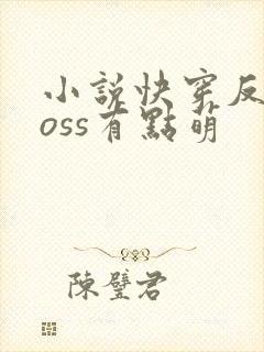 小说快穿反派boss有点萌