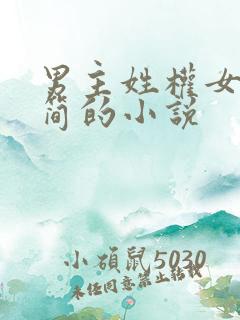 男主姓权女主姓简的小说