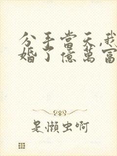 分手当天,我闪婚了亿万富豪