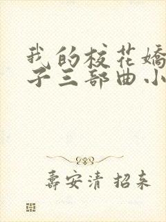 我的校花娇妻叶子三部曲小说