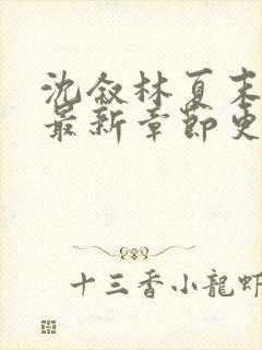 沈叙林夏末小说最新章节更新