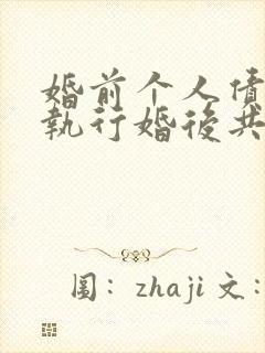 婚前个人债务会执行婚后共同财产吗?