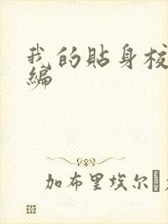 我的贴身校花改编