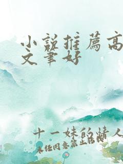 小说推荐高质量文笔好