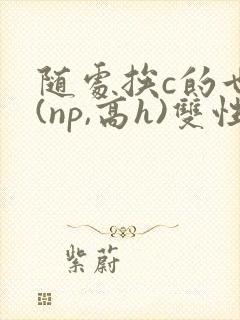 随处挨c的世界(np,高h)双性