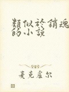 类似于销魂艳婢的小说