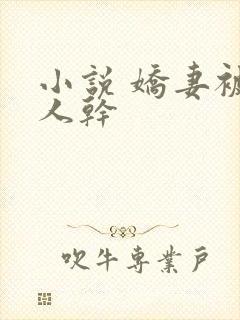 小说 娇妻被黑人干