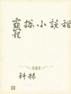 霸总小说甜文高宠