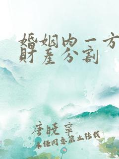 婚姻内一方出轨财产分割