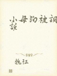 小母狗被调教小说