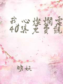 我心灿烂电视剧40集免费观看