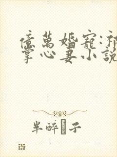 亿万婚宠:祁少掌心妻小说