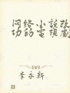 网络小说改编成功的电视剧