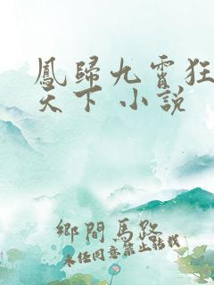 凤归九霄狂妃逆天下 小说