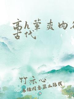 高h荤爽肉欲文古代