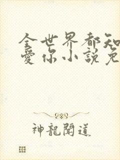 全世界都知道我爱你小说免费阅读