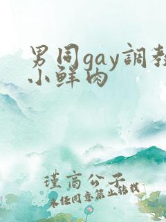 男同gay调教小鲜肉