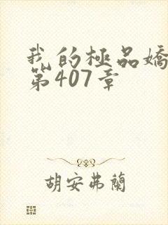 我的极品娇妻 第407章