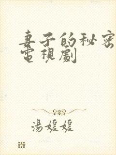 妻子的秘密韩国电视剧