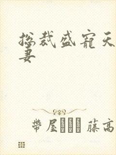 总裁盛宠天价娇妻