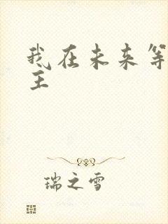 我在未来等你男主