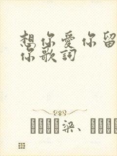 想你爱你留不住你歌词