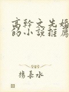 高干文先婚后爱的小说推荐