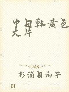 中日韩黄色免费大片