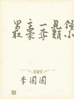 男主一见钟情强取豪夺类小说