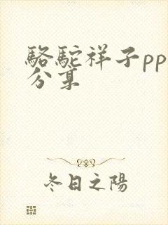 骆驼祥子ppt分享