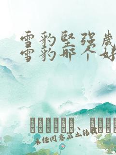 雪豹坚强岁月和雪豹哪个好看