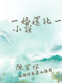 一婚还比一婚高 小说