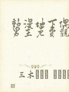 动漫地下偶像双男主免费观看全集