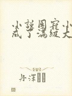 小说团宠小可爱成了满级大佬